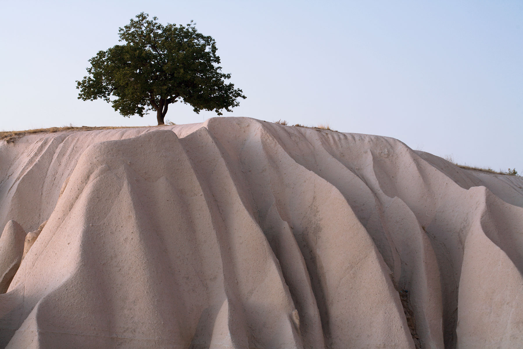 The Tree  | Kapadokia 2009